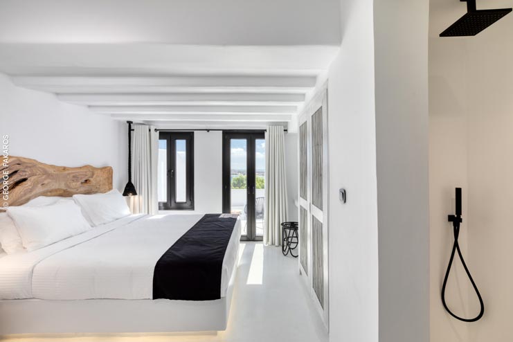 059_2018_PHAEDRA_20190429-30