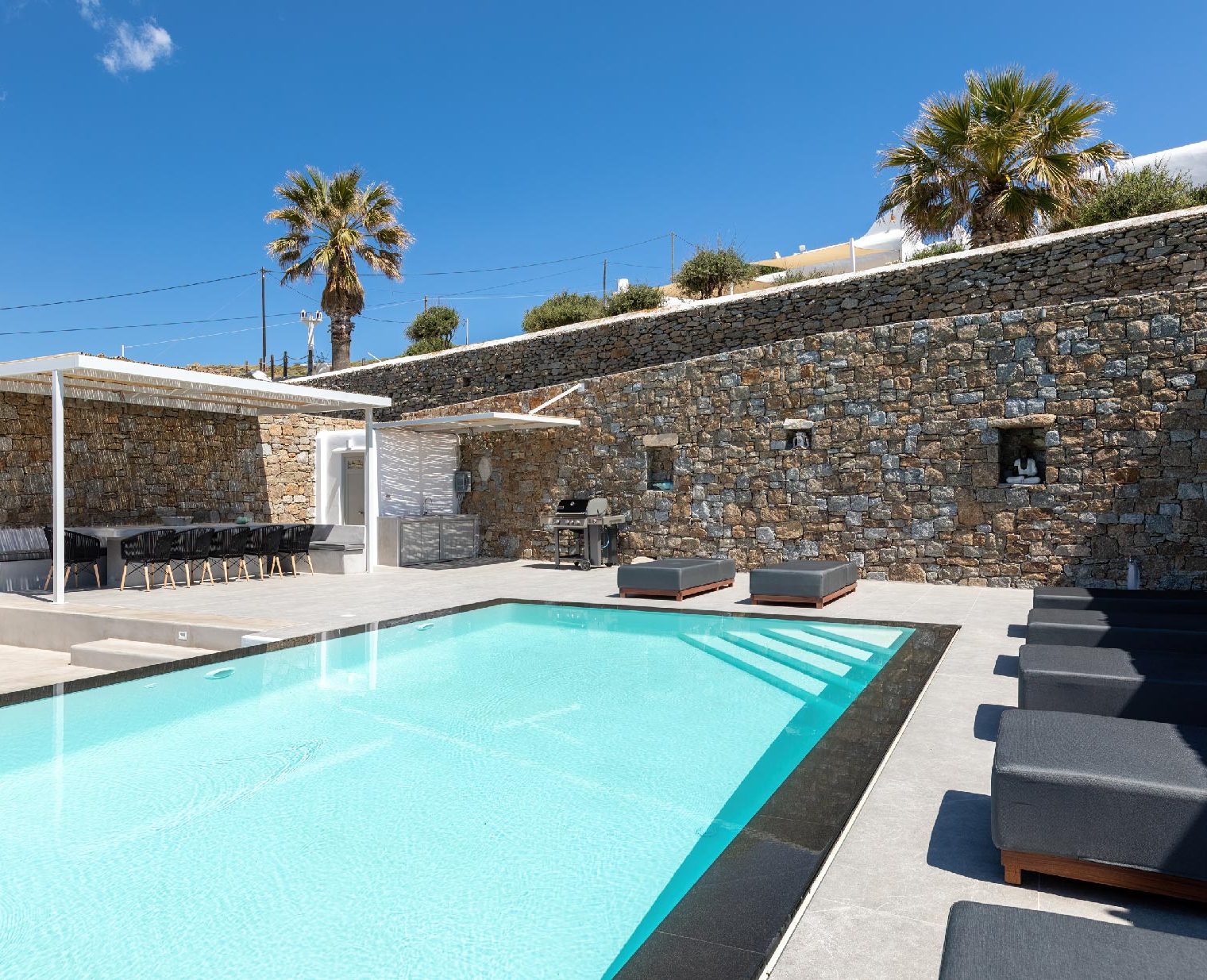 053_5008_cataleya_1_20230421-23