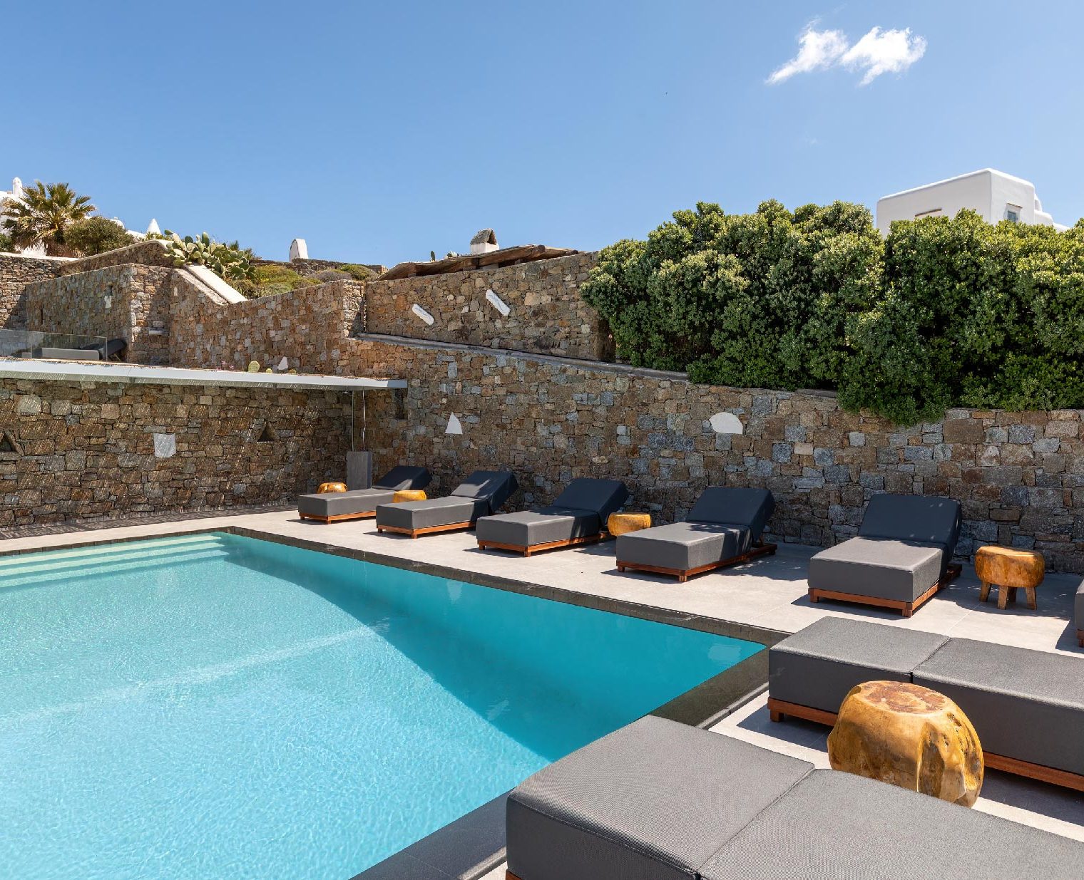 095_5021_cataleya_2_20230421-23