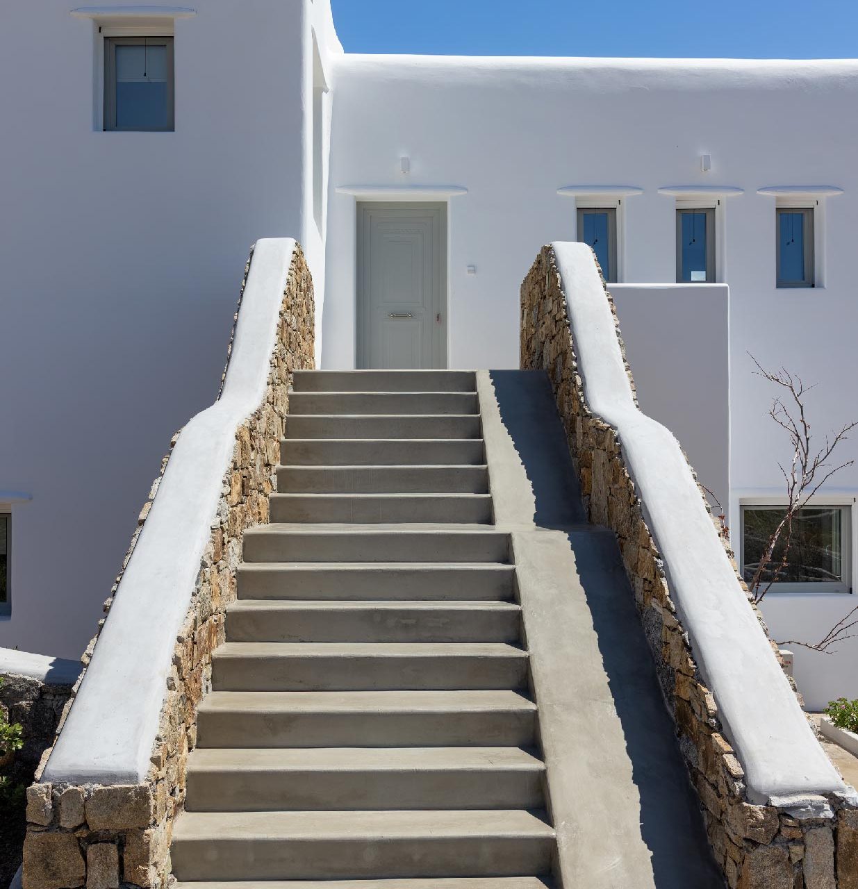 184_6238_cataleya_generic_20230421-23