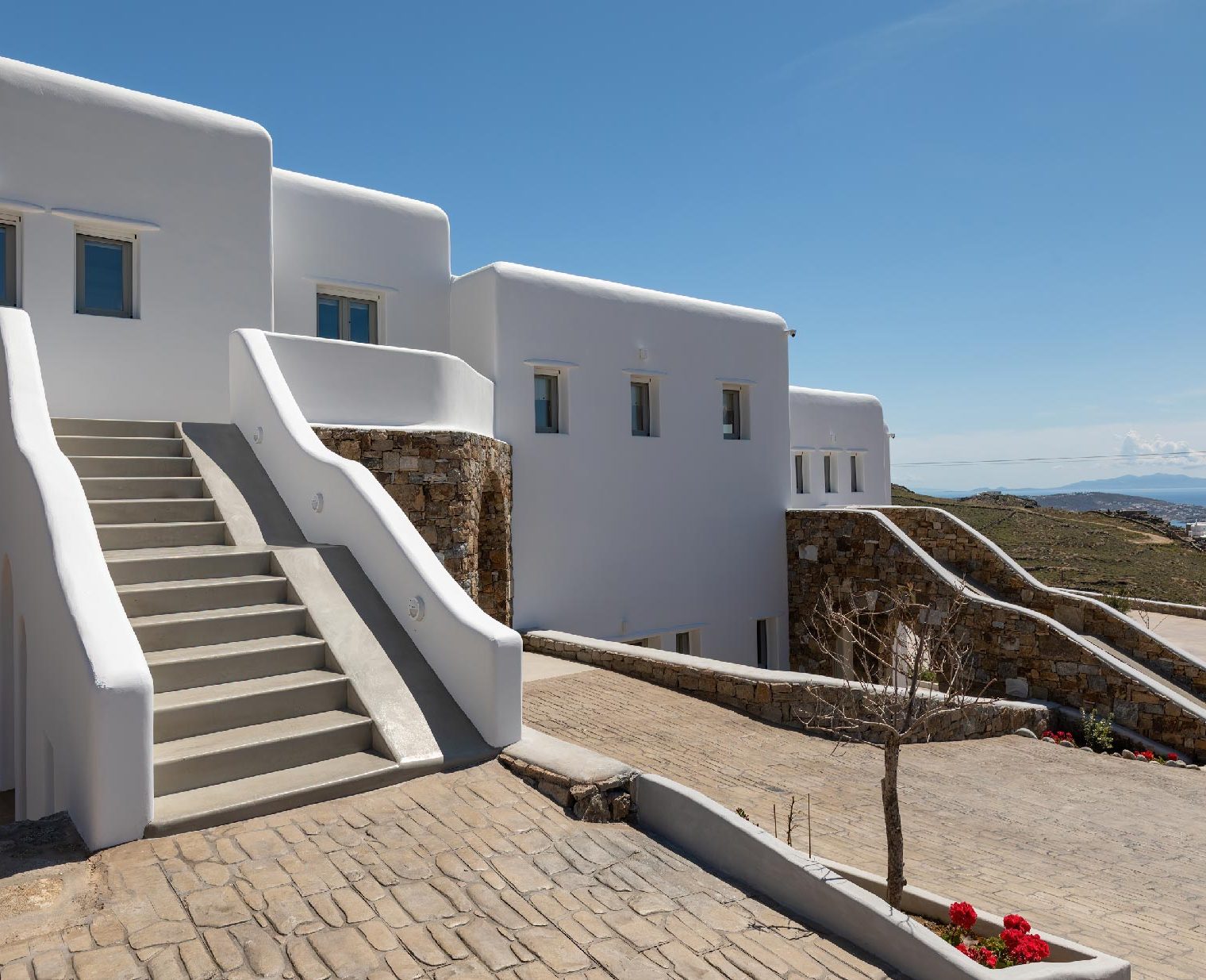 185_5047_cataleya_generic_20230421-23